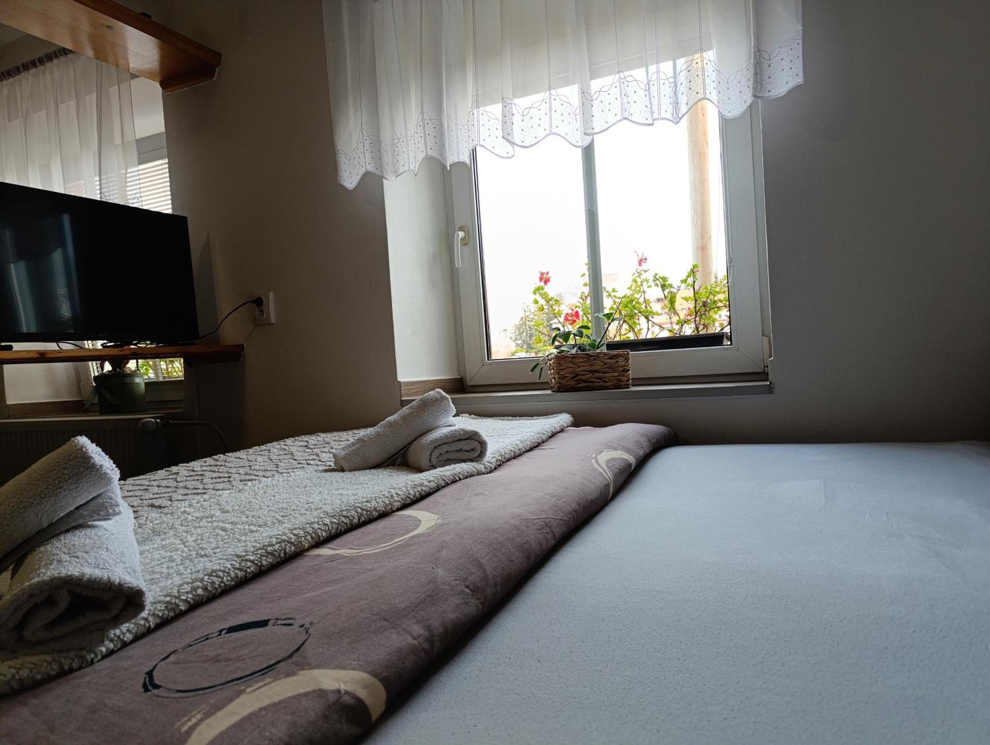U Bocmana S Vyhledem Na Zamek A Labe Apartment Decin Exterior photo