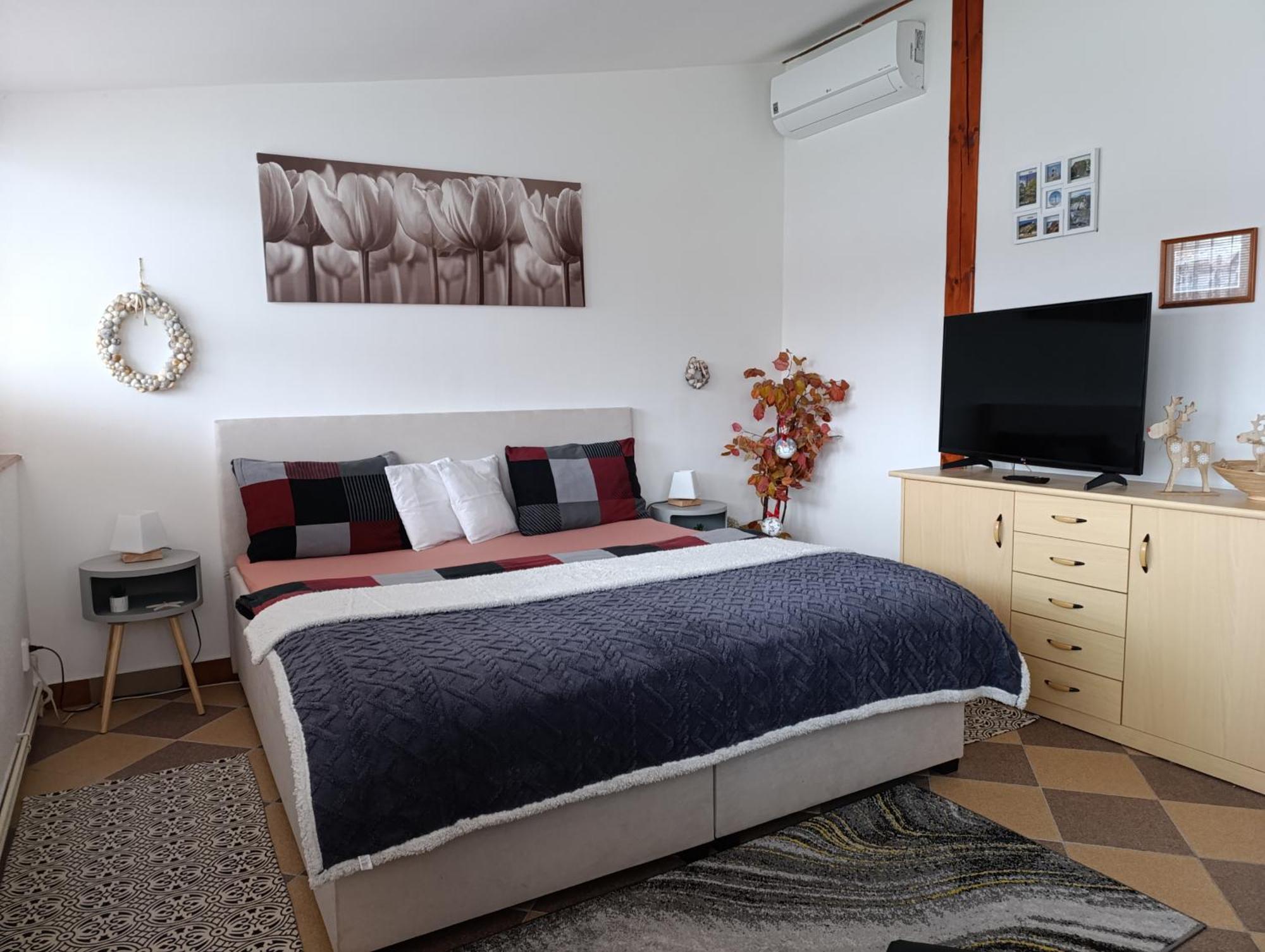 U Bocmana S Vyhledem Na Zamek A Labe Apartment Decin Exterior photo